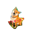 柴犬ひーちゃん日常編（個別スタンプ：38）