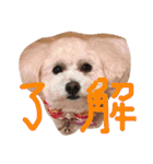 じんとリリー（個別スタンプ：7）