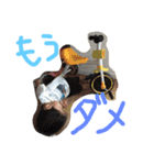 じんとリリー（個別スタンプ：37）