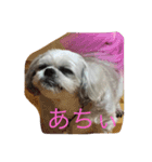 日々もえさん（個別スタンプ：3）