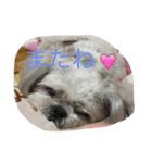 日々もえさん（個別スタンプ：15）