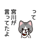 宮川にしては良くやった方じゃない？（個別スタンプ：40）