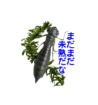 生き物 昆虫スタンプ（個別スタンプ：32）