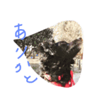 わんわんわん☆（個別スタンプ：7）