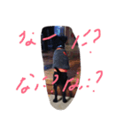 わんわんわん☆（個別スタンプ：9）