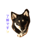 梅ひゃんと愉快な仲間たち（個別スタンプ：2）