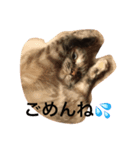 梅ひゃんと愉快な仲間たち（個別スタンプ：3）