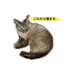梅ひゃんと愉快な仲間たち（個別スタンプ：8）