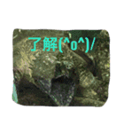 めずらしい動物（個別スタンプ：15）