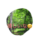 森自然スタンプ（個別スタンプ：6）