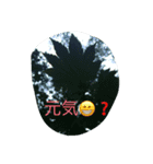 森自然スタンプ（個別スタンプ：7）