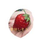 森自然スタンプ（個別スタンプ：8）