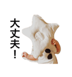 y life（個別スタンプ：15）