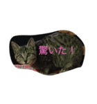 コロロすたんぷ（個別スタンプ：6）