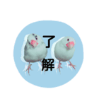 リアル文鳥（個別スタンプ：2）