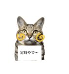 お仕事にゃんこ（個別スタンプ：4）