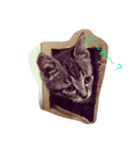 猫夢堂（個別スタンプ：3）