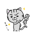 どネコのふぇいにゃん（個別スタンプ：2）