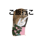 たっくん∞（個別スタンプ：31）