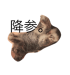 ハムスターとうさぎの独り言。（個別スタンプ：7）
