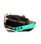 イグアナの日常（個別スタンプ：4）