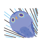 Blue Owl（個別スタンプ：20）