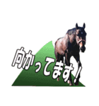 馬のスタンプ。ビール党です。（個別スタンプ：11）