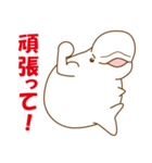 シロイルカ「デコ」（個別スタンプ：26）