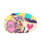 にゃんきぃす（個別スタンプ：3）