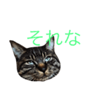 俺、アンディ。（個別スタンプ：2）