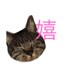 俺、アンディ。（個別スタンプ：3）