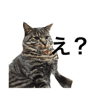 俺、アンディ。（個別スタンプ：12）