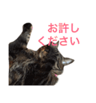 俺、アンディ。（個別スタンプ：13）