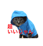 俺、アンディ。（個別スタンプ：14）