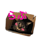 俺、アンディ。（個別スタンプ：18）