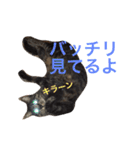 俺、アンディ。（個別スタンプ：26）