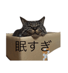 俺、アンディ。（個別スタンプ：29）