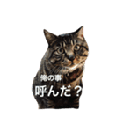 俺、アンディ。（個別スタンプ：32）