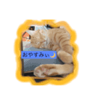 スィールくんとサフィルちゃん（個別スタンプ：4）