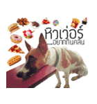 PRINCE SPOT (THE DOG)（個別スタンプ：6）