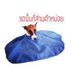 PRINCE SPOT (THE DOG)（個別スタンプ：7）