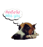 PRINCE SPOT (THE DOG)（個別スタンプ：10）
