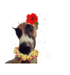 PRINCE SPOT (THE DOG)（個別スタンプ：13）
