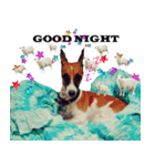PRINCE SPOT (THE DOG)（個別スタンプ：16）