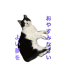 ねこやしき②feat.めめ（個別スタンプ：2）