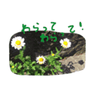 励まし隊 はなちゃんず（個別スタンプ：4）