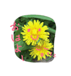 励まし隊 はなちゃんず（個別スタンプ：7）