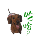 Doby's day（個別スタンプ：5）