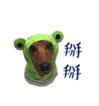 Doby's day（個別スタンプ：8）