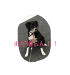 ルナのスタンプ（個別スタンプ：3）